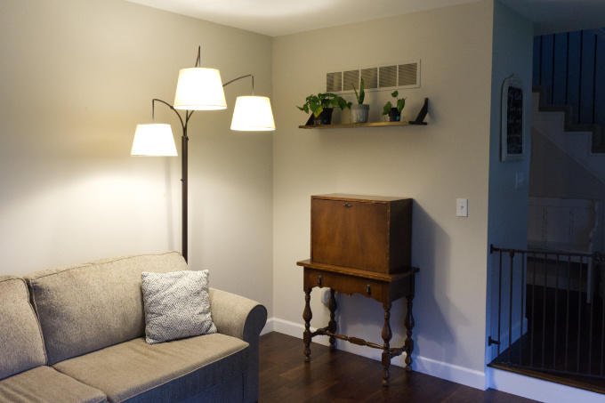Modern Houseplant Shelf, Pothos Devil's Ivy, Sanseveria Snake Plant in Living Room