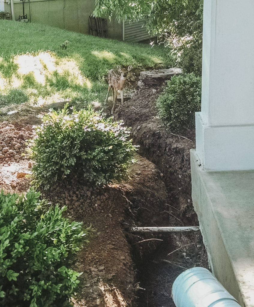 Versa Lok Landscape Retaining Wall Drainage in Front of Porch Old Stacked Stone and Deer Fawn