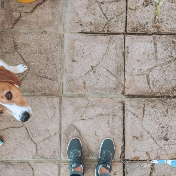 Patio Fall Refresh with Polymeric Sand Polymer Paver Block Crack Fill