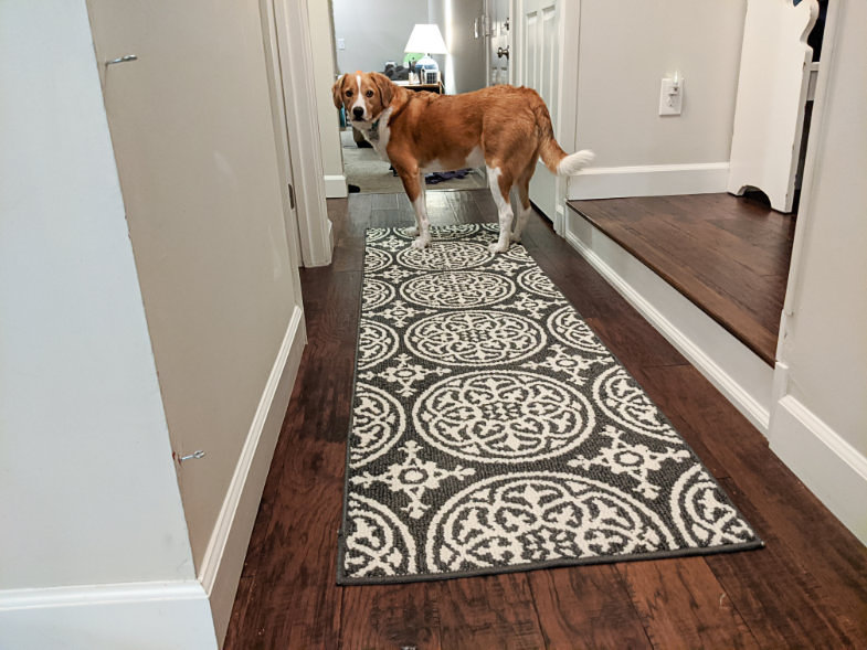Washable Target runner rug, navy medallion pattern